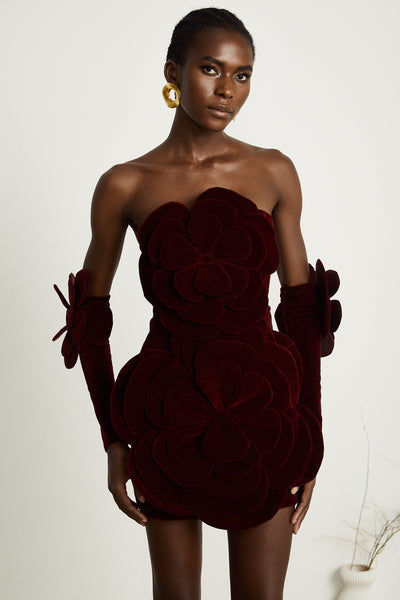 Burgundy Velvet Floral Mini Dress