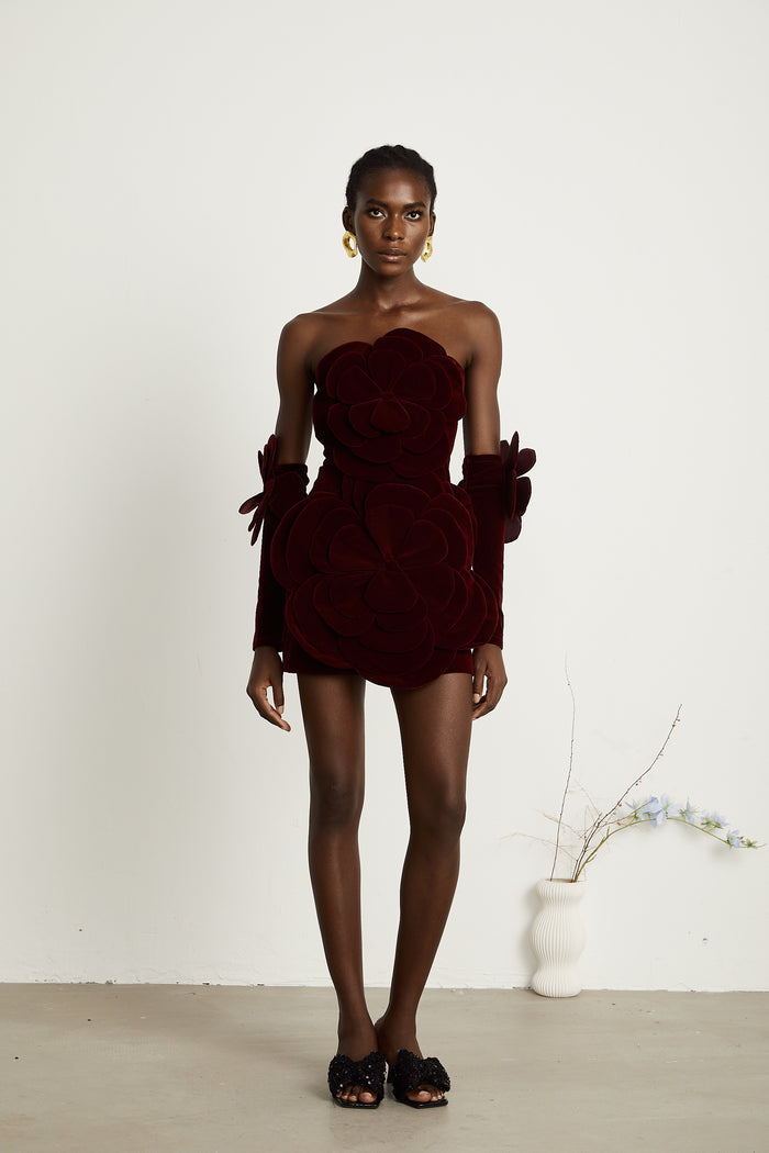 Burgundy Velvet Floral Mini Dress